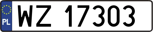 WZ17303