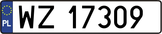 WZ17309