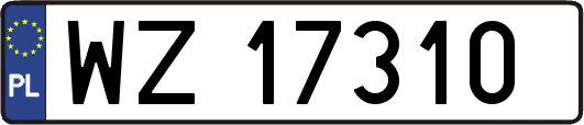 WZ17310