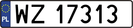 WZ17313