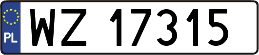 WZ17315