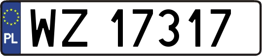 WZ17317