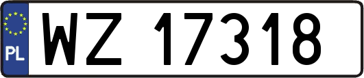WZ17318