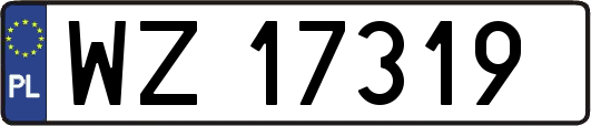 WZ17319