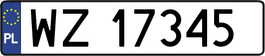 WZ17345