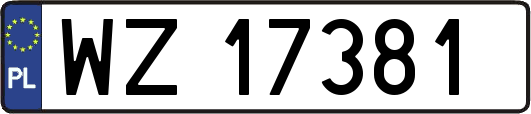 WZ17381