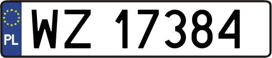 WZ17384