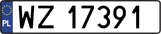 WZ17391