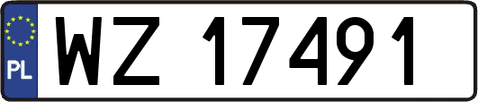 WZ17491