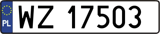 WZ17503