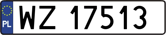 WZ17513