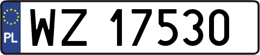 WZ17530