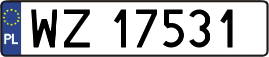 WZ17531