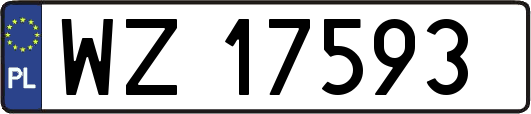 WZ17593