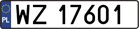 WZ17601