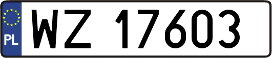 WZ17603