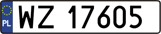 WZ17605