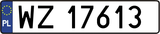 WZ17613