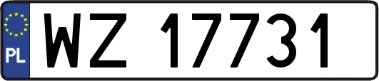 WZ17731