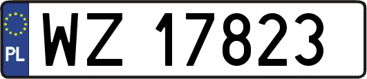 WZ17823