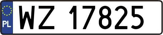 WZ17825