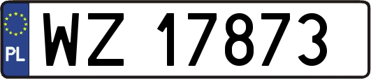 WZ17873