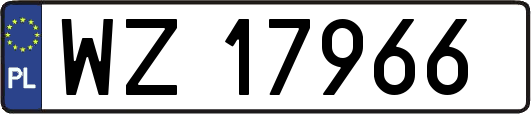 WZ17966
