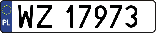 WZ17973