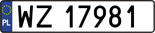 WZ17981