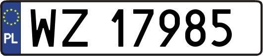 WZ17985