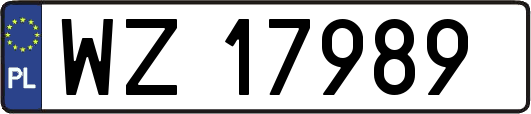 WZ17989