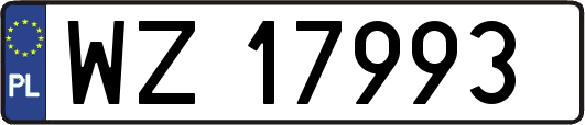 WZ17993