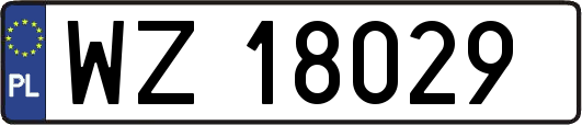 WZ18029