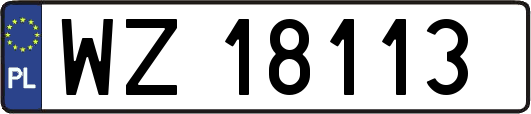 WZ18113