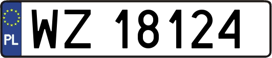 WZ18124
