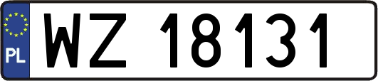 WZ18131