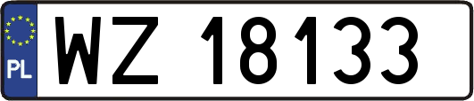 WZ18133