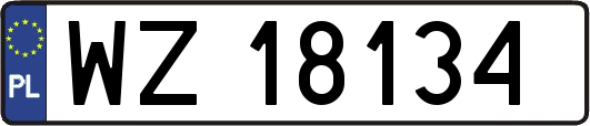 WZ18134