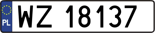 WZ18137