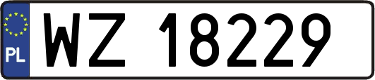 WZ18229