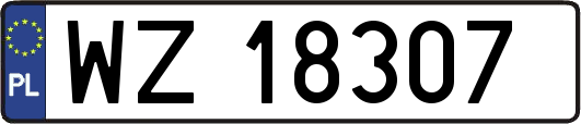 WZ18307
