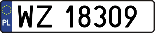 WZ18309