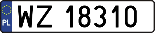 WZ18310
