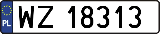 WZ18313