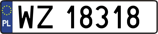 WZ18318