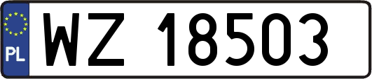 WZ18503