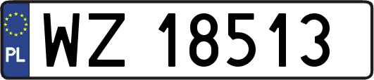 WZ18513