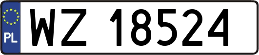 WZ18524
