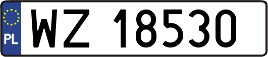 WZ18530