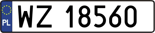 WZ18560